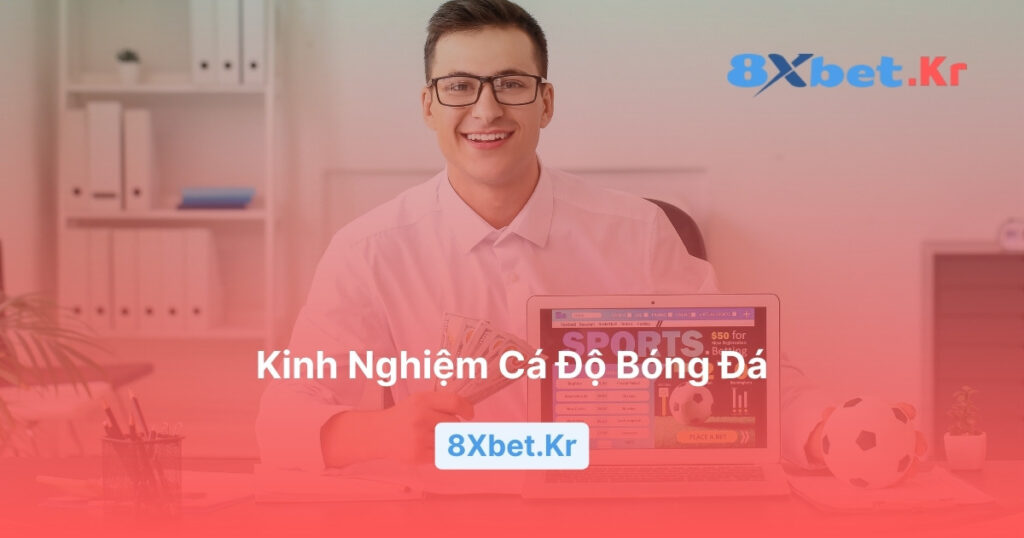 Kinh nghiệm cá độ bóng đá