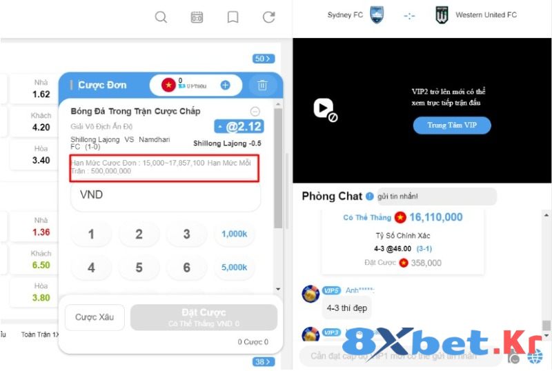 Lưu ý khi cá cược thể thao 8Xbet